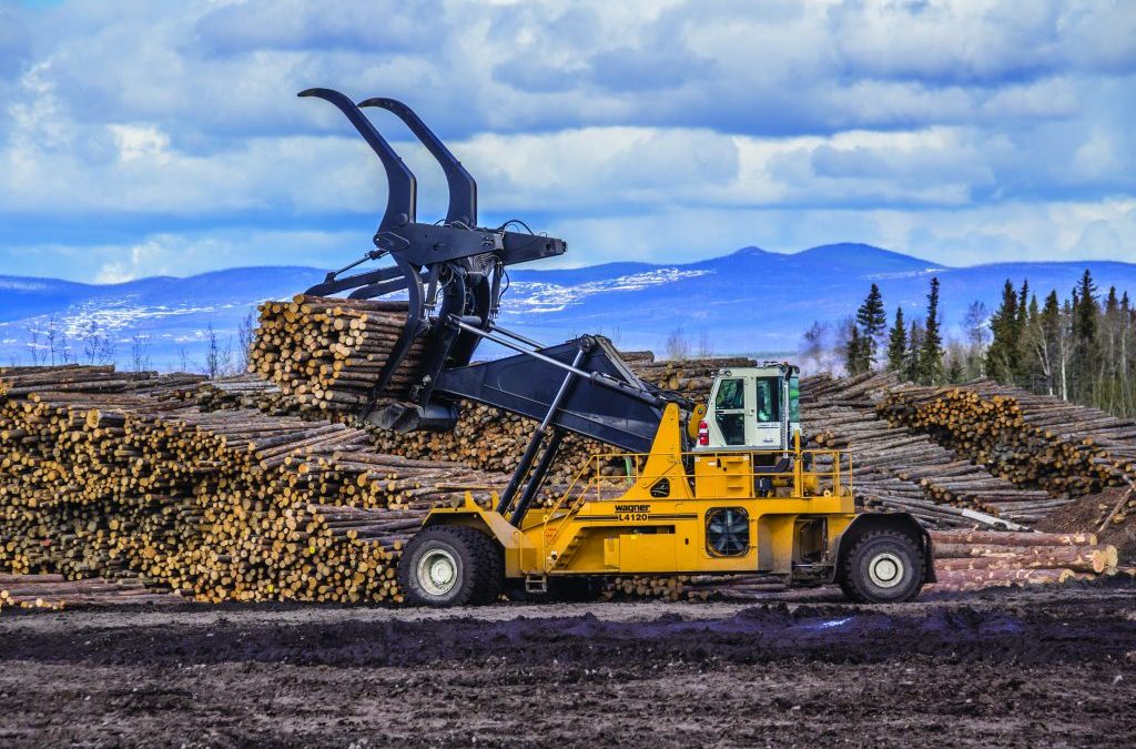 Logstackers Head To Canada